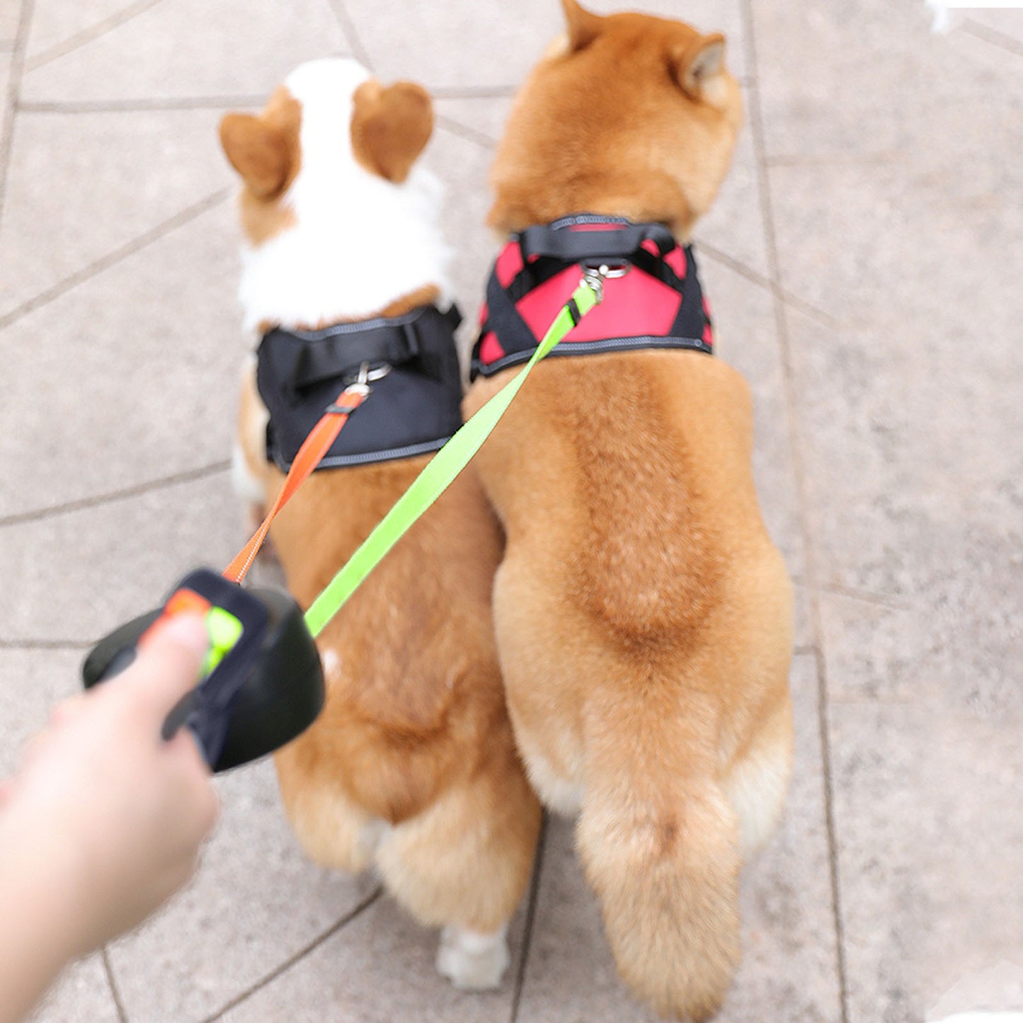 Pet Leash Dog Double Head Rope Multicolor