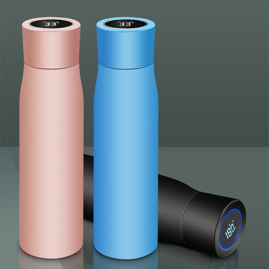 LED UV Disinfection Stainless Steel Water Bottle