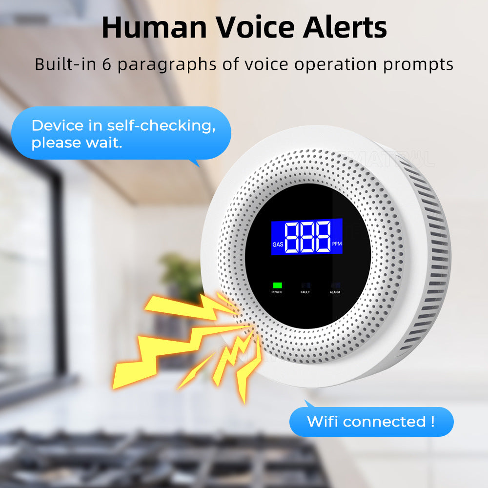 Smart Home WIFI Gas Detector