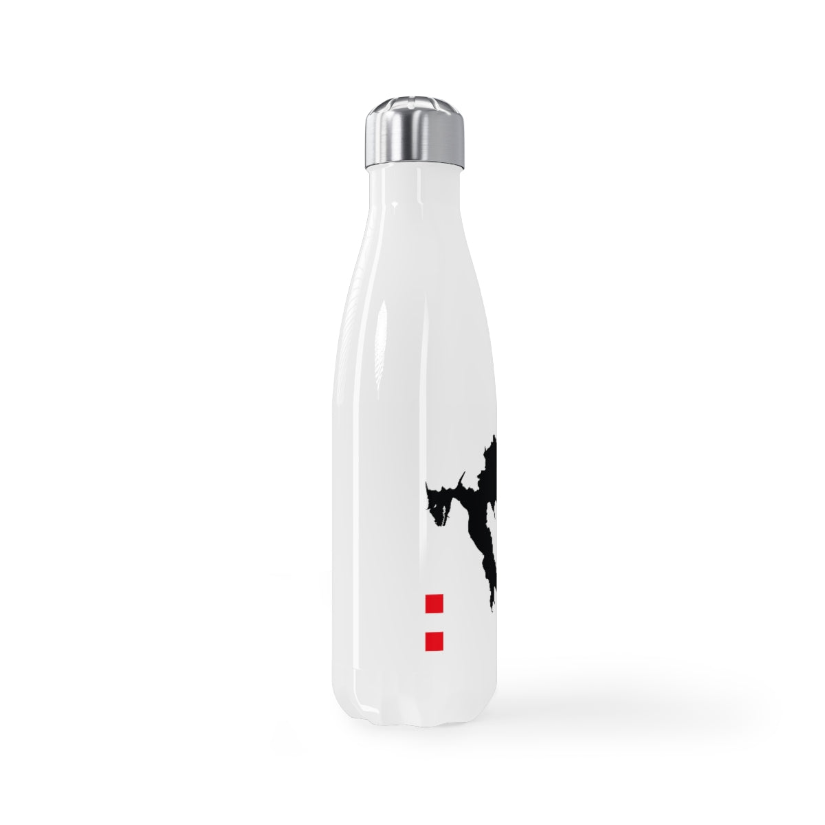 Buylando Stainless Steel Water Bottle, 17oz