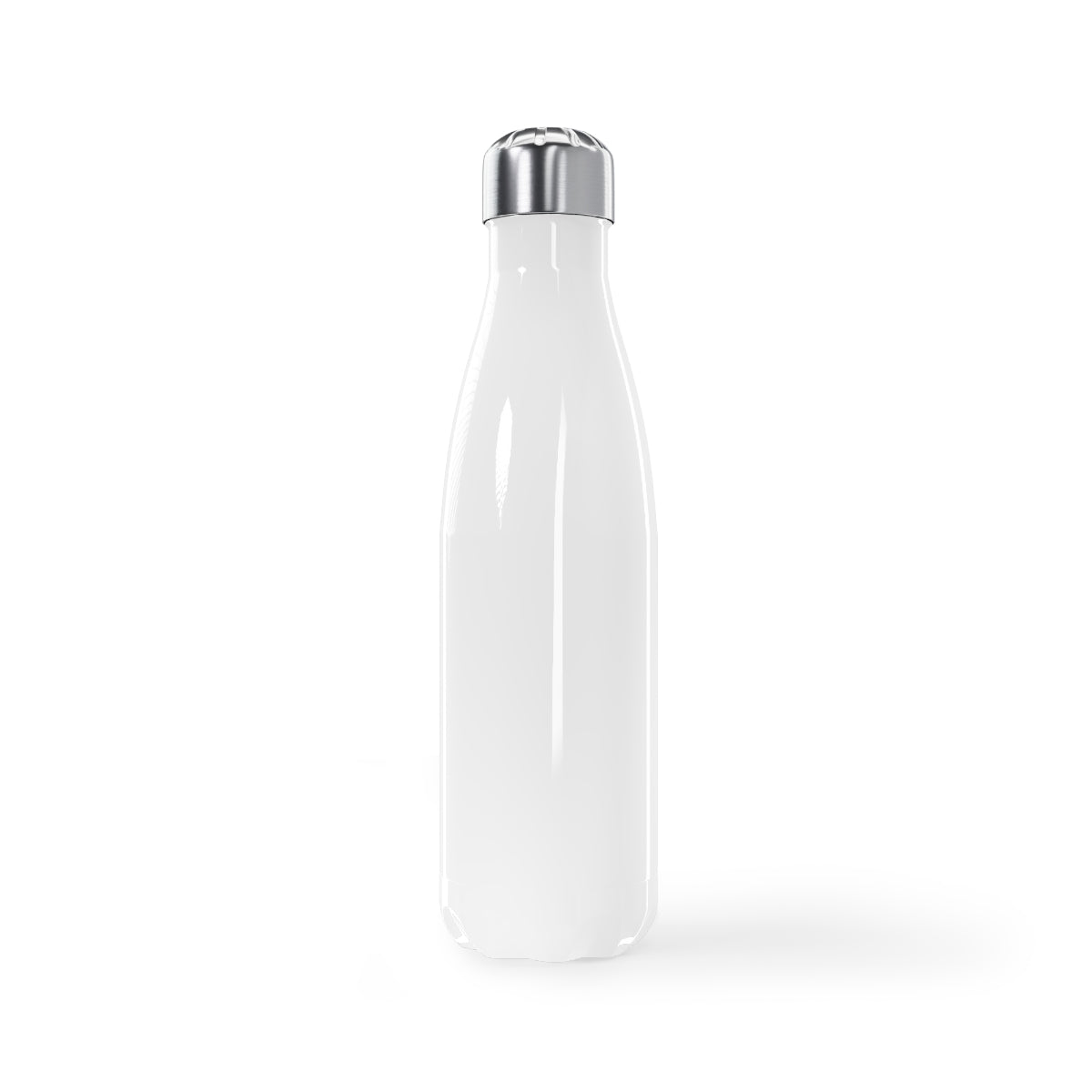 Buylando Stainless Steel Water Bottle, 17oz